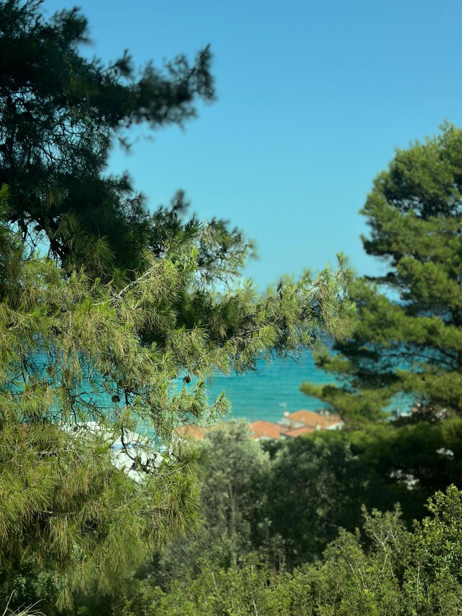 Victory Vip Apartments Kallithea  エクステリア 写真